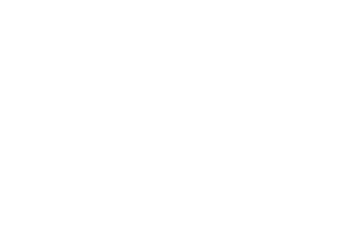 Perfekta FX
