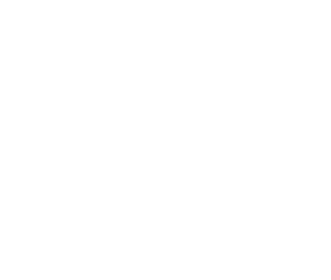 Perfekta FX